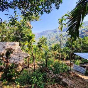 - une vue sur la jungle avec une cabane et des arbres dans l'établissement MEPA HOMESTAY, à Cherrapunji