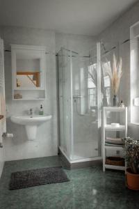 a bathroom with a shower and a sink at See Land Luft in Warnitz