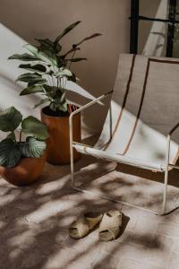 Foto sihtkohas Nosara asuva majutusasutuse Sendero Hotel galeriist