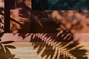 Foto sihtkohas Nosara asuva majutusasutuse Sendero Hotel galeriist