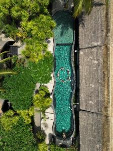 a pool in the middle of a yard with trees at Manta Dive Gili Trawangan Resort in Gili Trawangan