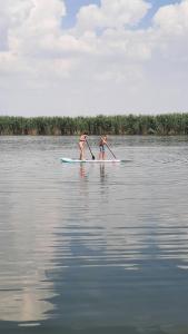 Galeriebild der Unterkunft Boletov Raj in Čurug