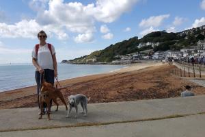 Una donna in piedi sulla spiaggia con due cani di Wheelers Bay Apartment a Ventnor