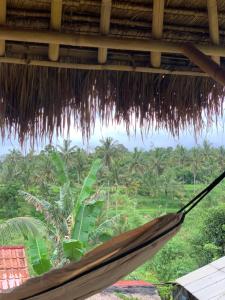 a hammock with a view of the jungle at Tetebatu Sama Sama Bungalows in Tetebatu