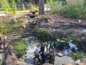 a garden with a bird bath and a pond at Spa Suites at RAVEN in Hepburn Springs