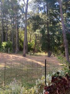 einen Zaun auf einem Feld mit Bäumen im Hintergrund in der Unterkunft Spa Suites at RAVEN in Hepburn Springs