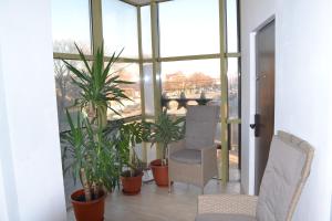 um quarto com plantas, cadeiras e uma janela em Live Tulcea Hotel em Tulcea