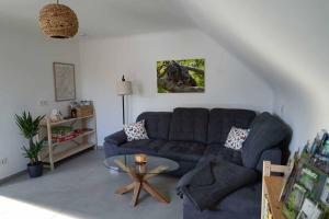 a living room with a blue couch and a glass table at Casa de Alpaca in Schmelz