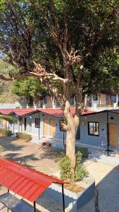 uma árvore em frente a um edifício com um banco vermelho em Euphoric River Resort em Rishikesh