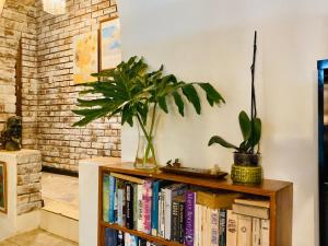 a book shelf with books and a potted plant on it at Su Casa Chase Valley in Pietermaritzburg