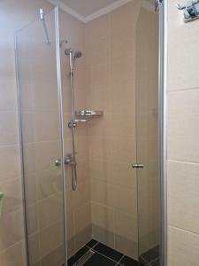 a shower with a glass door in a bathroom at Helena apartman in Ocka Gora