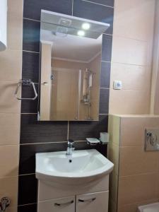 a bathroom with a sink and a mirror at Helena apartman in Ocka Gora +18 photos