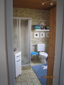 a bathroom with a shower and a toilet at Ferienzimmer Vogelsang in Rhens