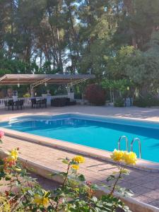 uma piscina com uma mesa e um guarda-sol em Casa de La Campana em Cieza