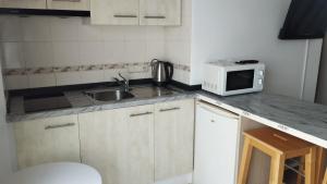 Kuchyň nebo kuchyňský kout v ubytování Hotel Raxa