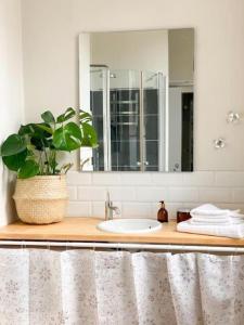 ein Bad mit einem Waschbecken und einem Spiegel in der Unterkunft Appartement lumineux centre Cognac avec terrasse in Cognac