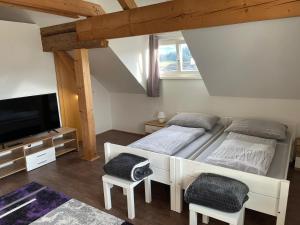a bedroom with a bed and a flat screen tv at Haus Kampl - Appartement Grundlsee in Bad Mitterndorf