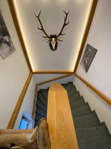 Fotografie z fotogalerie ubytování Chalet Tauernbär v destinaci Großkirchheim