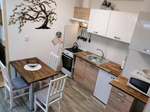 Apartmány Nová duha Vavřinec 주방 또는 간이 주방