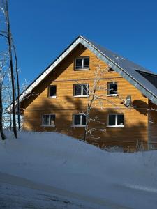 une maison en bois avec de la neige devant elle dans l'établissement Apartment Luise - direkt an der Skipiste - mit Sauna, à Feldberg