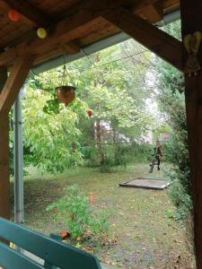 a view of a backyard with a picnic table and a swing at Zöld Liget Vendégház in Balatonfenyves +7 photos