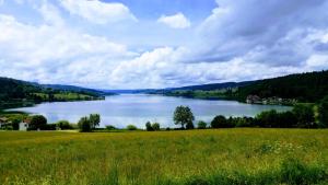 a view of a large lake in a field at Ô Doubs Chalets in Mouthe