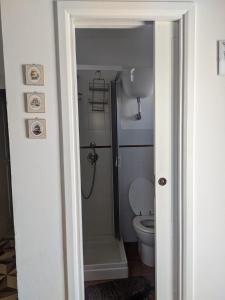 a bathroom with a toilet and a shower at Masseria Vagone in Macchia di Monte +24 photos