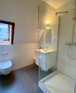 a bathroom with a toilet and a shower and a sink at Deichtraum - 1020 in Dahme