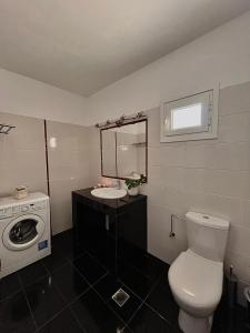 a bathroom with a toilet and a sink and a washing machine at Dionysis Villas in Skala