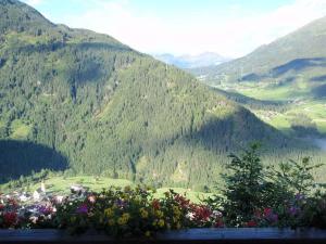 Blick auf ein Tal mit Bergen und Blumen in der Unterkunft Jerzens Apartment 1 in Jerzens