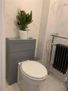 a bathroom with a toilet and a plant on a shelf at Lavish The Marble Apartment in Bury Saint Edmunds