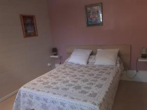 een slaapkamer met een bed met 2 kussens bij Le clos des cigales les lauriers roses in Le Thoronet