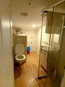 a small bathroom with a toilet and a sink at Apartment in Ika with sea view, balcony, air conditioning, WiFi 5025-2 in Ika