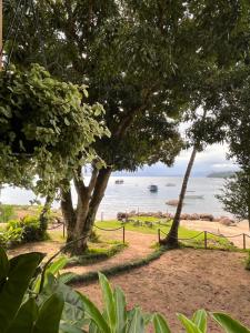 a view of the beach from between two trees at Fauna in Praia do Bananal