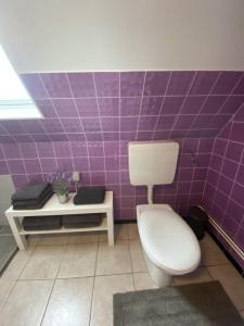 baño con aseo y pared de azulejos púrpura en Ferienwohnung "Nesco", en Aurich