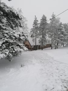SIMIĆ planinska kuća en invierno