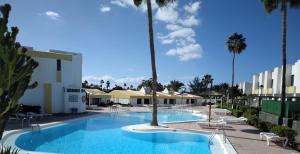 a swimming pool with palm trees in a resort at El Nidito in Maspalomas