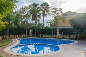 una piscina en un patio con palmeras en Kione Bellamar en Alcocéber