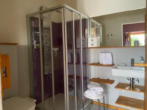 La salle de bains est pourvue d'une douche et d'un lavabo. dans l'établissement Traubengarten Winkler, à Niederhollabrunn