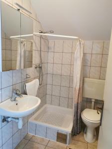 a bathroom with a sink and a toilet at Apartment Manda in Rakovica