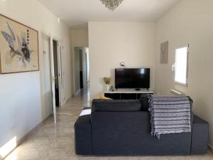 a living room with a couch and a flat screen tv at El Nido in Manzanares el Real