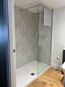 a shower with a glass door in a bathroom at Quirky, Luxury Hideaway in Llanbrynmair