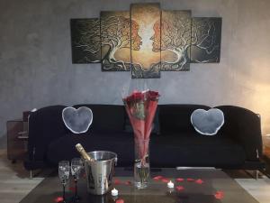 Posezení v ubytování Appart' spa privatif Gray