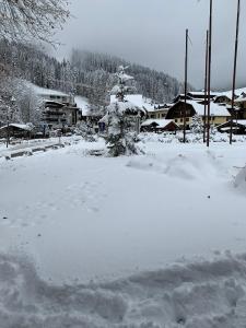 Des Alpes C Flat 11 v zime