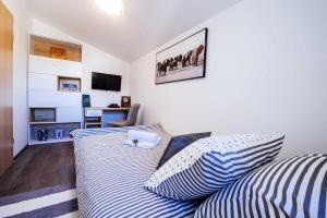 TV a/nebo společenská místnost v ubytování Villa Enna with heated pool, Zadar
