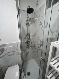 帕維亞的住宿－La stanza del Manzoni 1 piano NO ascensore，设有带卫生间的浴室内的淋浴间