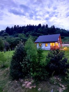 Príroda v okolí apartmánu + 24 fotografií