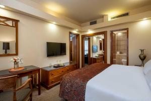 Μια τηλεόραση ή/και κέντρο ψυχαγωγίας στο Olive Tree Hotel