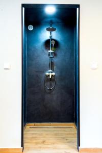 eine Dusche in einem Zimmer mit blauer Wand in der Unterkunft Vila Tess in Bad Liebwerda
