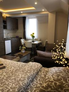 a hotel room with a kitchen and a living room at Apartmani Glamur Kopaonik in Kopaonik